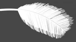 Feather 3D model