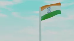 flag post animation 3D model