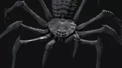 Goliath Huntsman Spider Low-poly 3D model