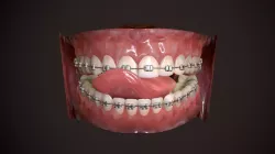 Great Teeth Collection - Mouth for character Low-poly 3D model