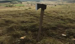 Highly Textured Weapon Axe Almost Used In Every Game 3D model