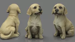 LABRADOR Low-poly 3D model