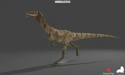 MARASUCHUS 3D MODEL  7 ANIMATIONS  Low-poly 3D model