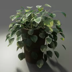 Pot with Plant 3D model