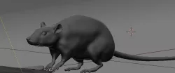 Rat model 3D model