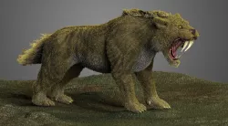 Saber tooth Cat High Poly Print ready  3D model