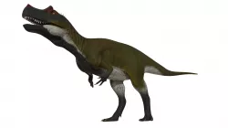 Saltriovenator zanellai 3D Model and Rig Low-poly 3D model