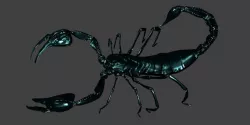 Scorpion Low-poly 3D model