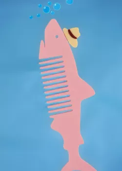 Shark Comb