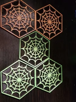 Spider's Web Coaster
