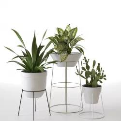 Standing Pots with Plants 3D model