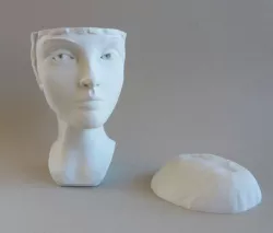 The Flapper