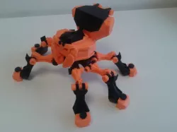 The funny Spider