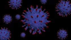 Virus 3D Model 3D model