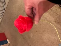 3D Anniversary Roses