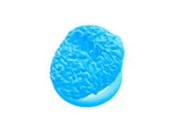 3D Brain token 
