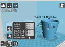 Coffee Cup