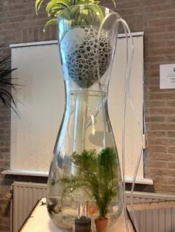 Desktop Aquaponics & Airfiltration System