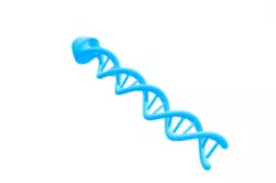 DNA Tap handle