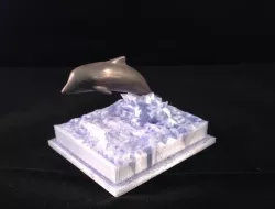 Dolphin