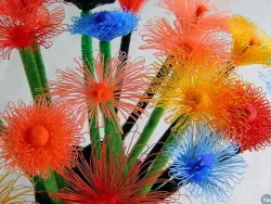 drooloop flowers - customizable