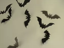 Flat Bats
