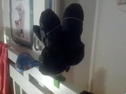 Glove drying rack