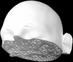 Head CT scan voxel model