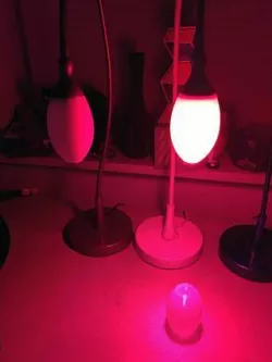 JansjÃ¶ Lampshade