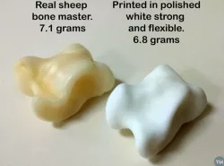 Knuckle Bone Dice