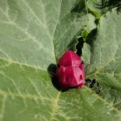 Low-Poly Bulbasaur