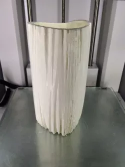 Organic Vase 1