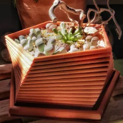PentaPot