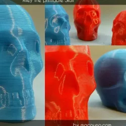 Riley the printable skull