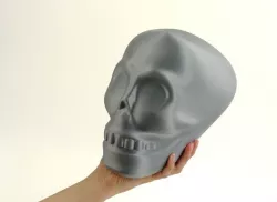 Skull Playset