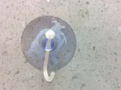 Suction cup hook