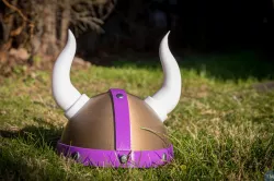 Vikings Helmet