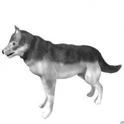 Wolf model