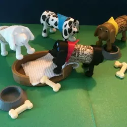 Accessories for Cork Puppy (and other small pups)