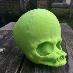 Alien Skull