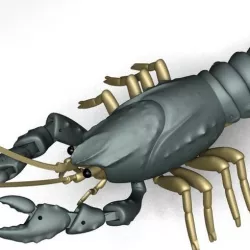 Articulated Crayfish