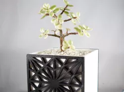 Asanoha Planter