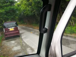 Automotive grab handle