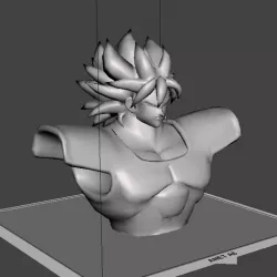 Broly Bust - Dragon Ball Super Broly