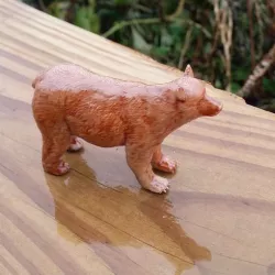 Brown Bear