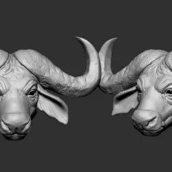 Buffalo head