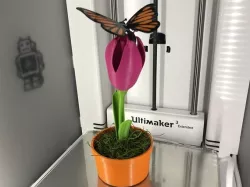 Butterfly, Animated.