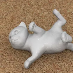 cat lying down