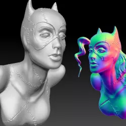 Catwoman bust 2 versions