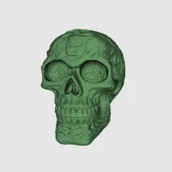 Celtic Skull